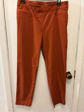 Ava & Grace Women's Rust Orange Slim Chinos